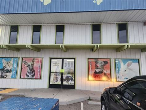 dog shelter bakersfield ca|Home .